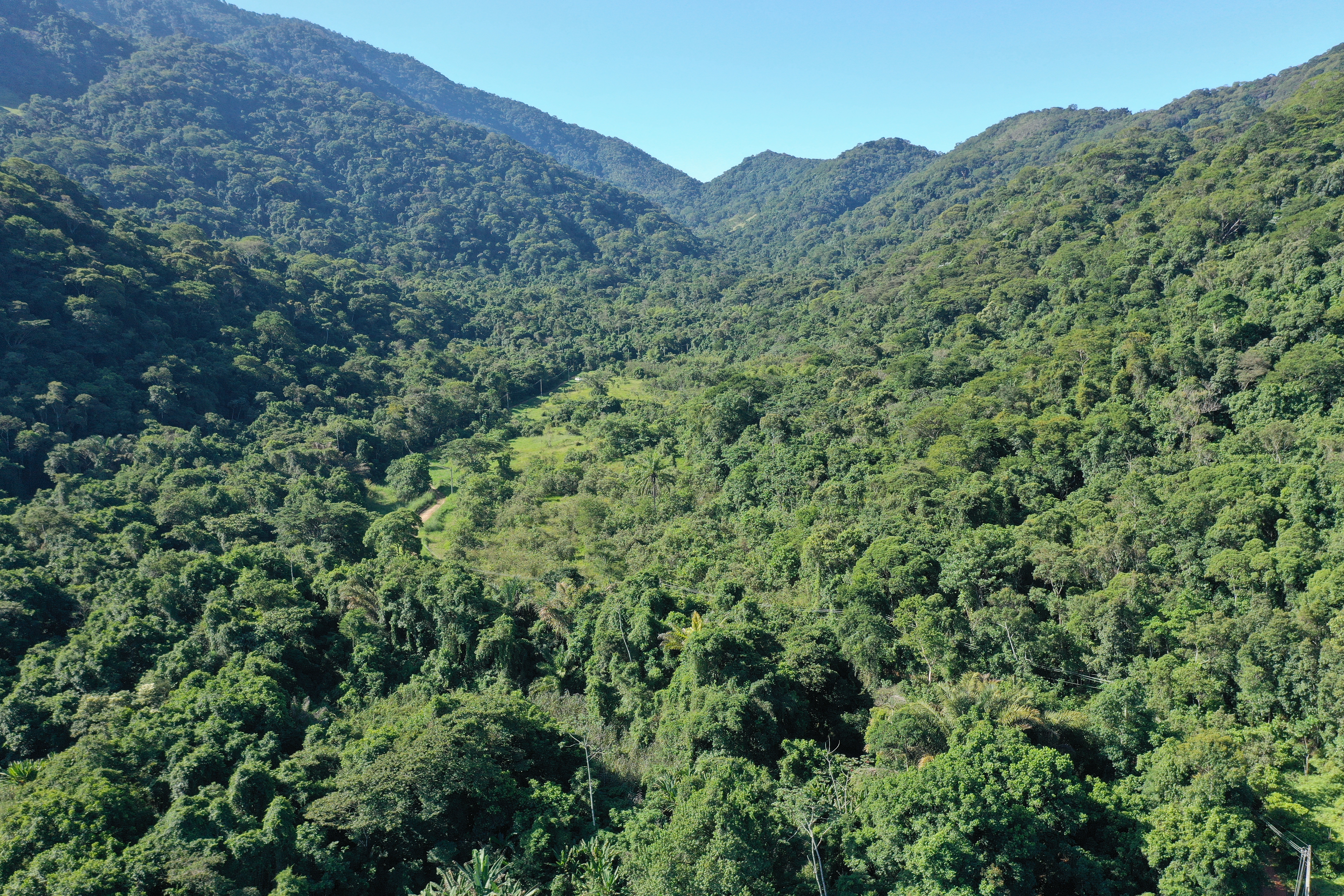 RPPN - Fazenda Messiânica